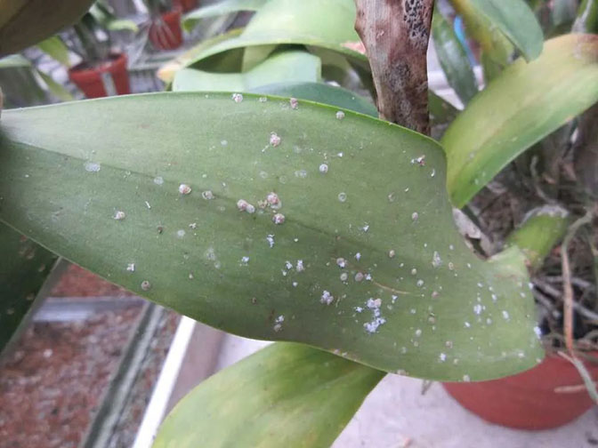 2022111816687373121008325414.jpg 微信圖片_20221118100135.jpg