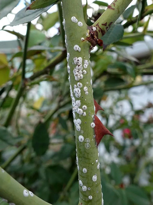 2022111816687374981011381277.jpg 微信圖片_20221118100208.jpg