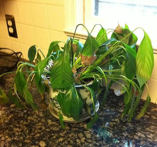 2023010916732354941138141352.jpg 7后.jpg