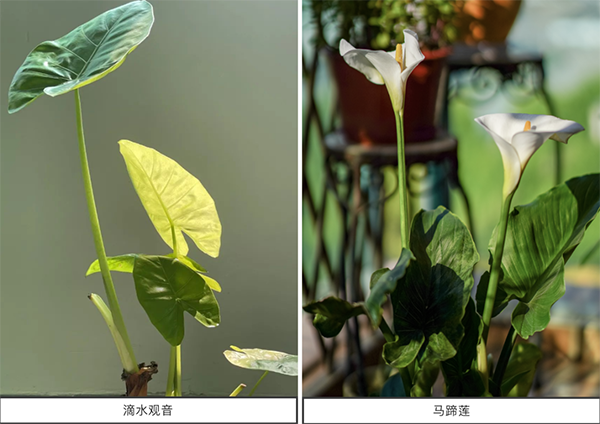 2023032916800548500954101359.png 3.png